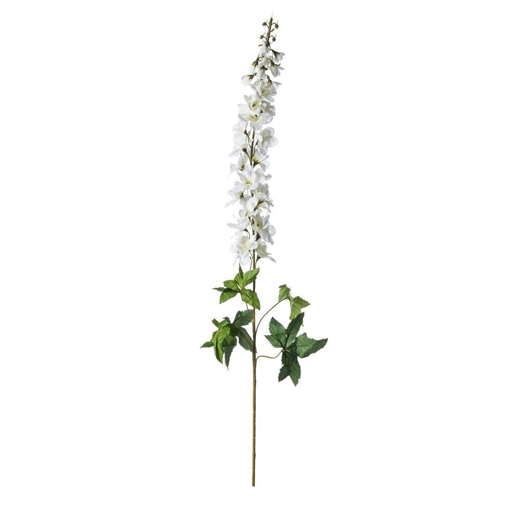 Delphinium White 100 Cm