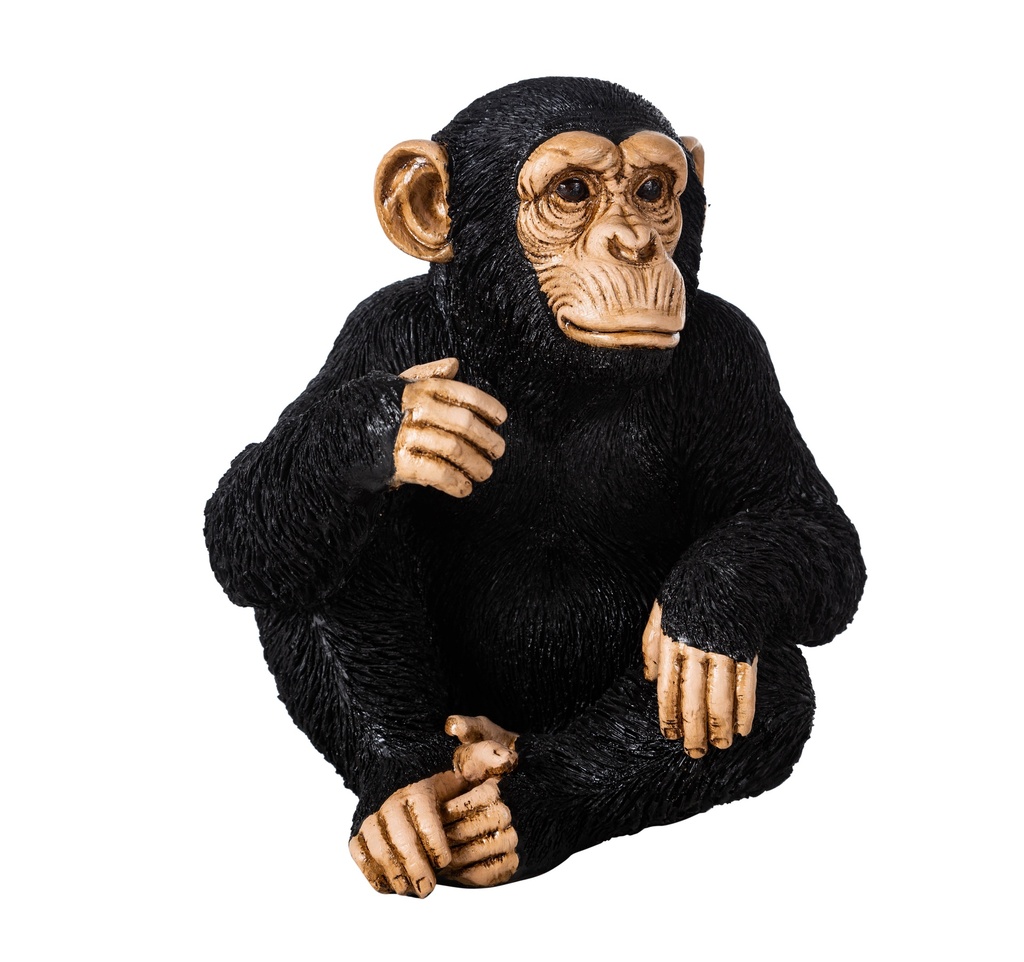 Monkey Black Object 21X22X23Cm