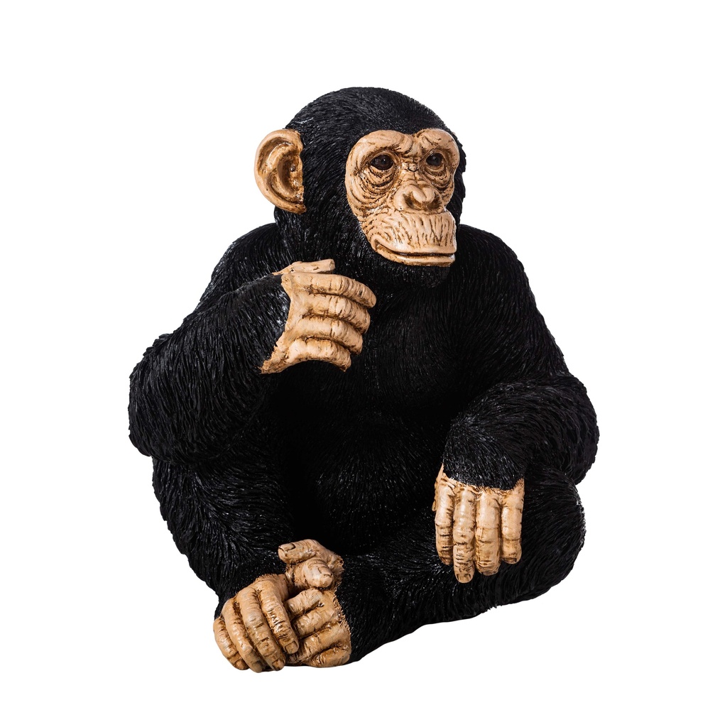Monkey Black Object 30X30X33Cm