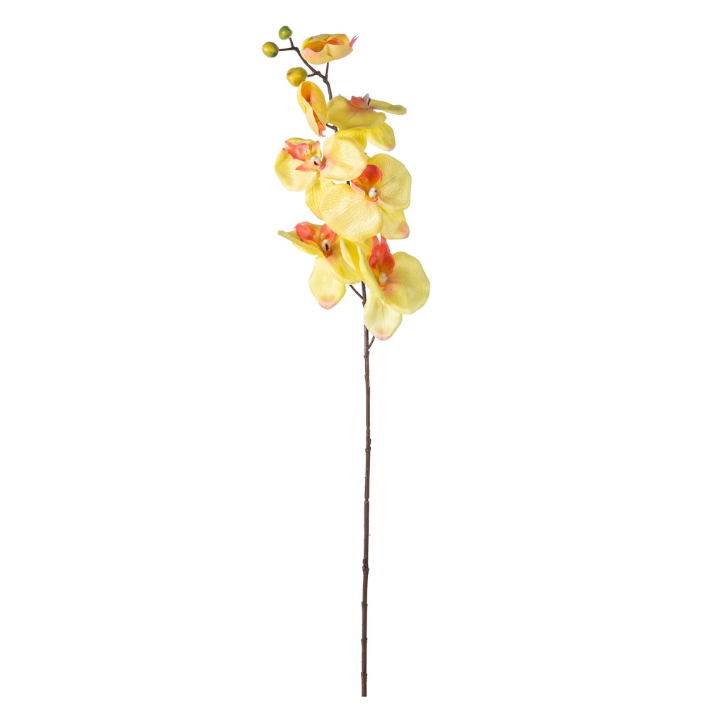 Orchid Branch Yellow 76 Cm