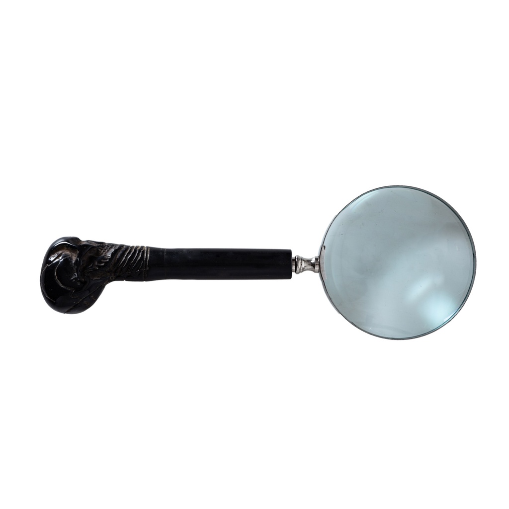 Skull Magnifying