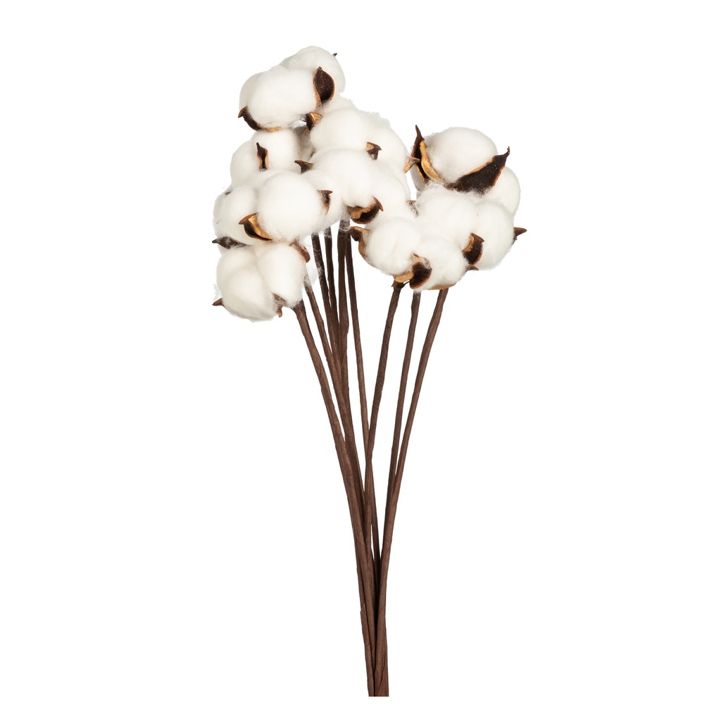 Watte Cotton Bundle 10X48Cm