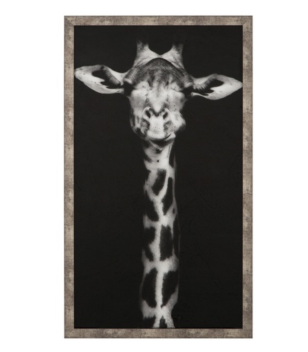 [Decorative - Wall Decoration - Framed And Unframed Paintings / 1202263001 / 3*60*105] Giraffe Framed Glass Wall Art 60X90Cm
