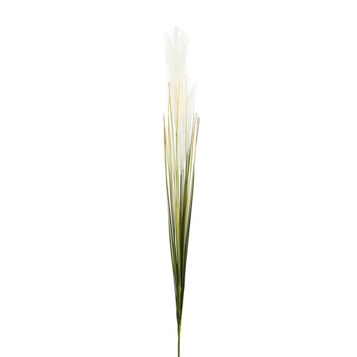 [Decorative - Plant Group - Artificial Flowers / 1214611001 / 1*1*92] Single Grass Beige - 92Cm