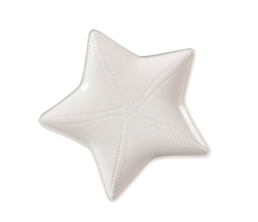 [Kitchen - Dinnerware - Presentation Plates / 1226956001 / 23*15*2] Starfish Service Plate